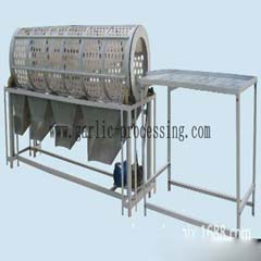 garlic sorting machine