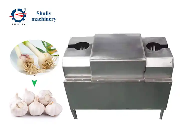 Sarımsak kökü kök kesme makinası