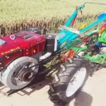 Small manual garlic harvesting machine