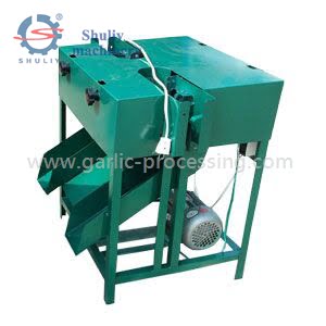 garlic root removing machine a 1