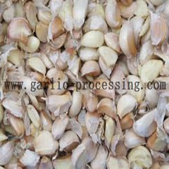 garlic sorter
