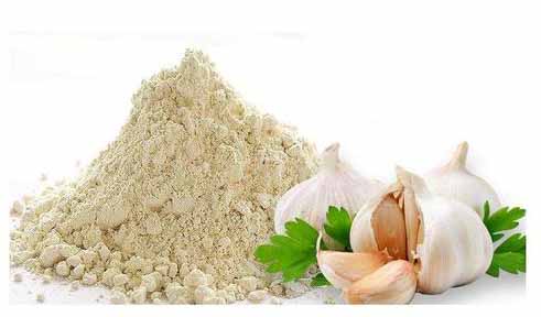 Dehydrated garlic powder