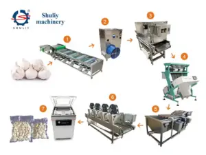 Garlic peeling production line