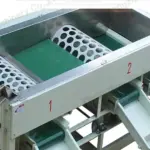 3-level garlic grading machine