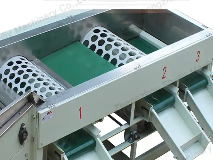 3-level garlic grading machine