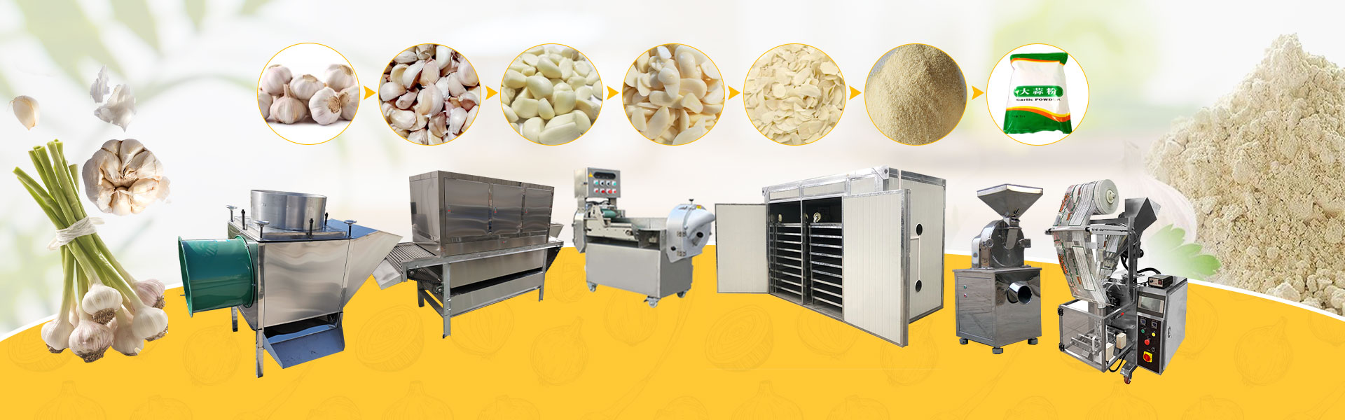 garlic processing machines