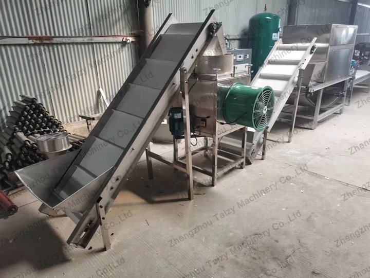 complete garlic processing line