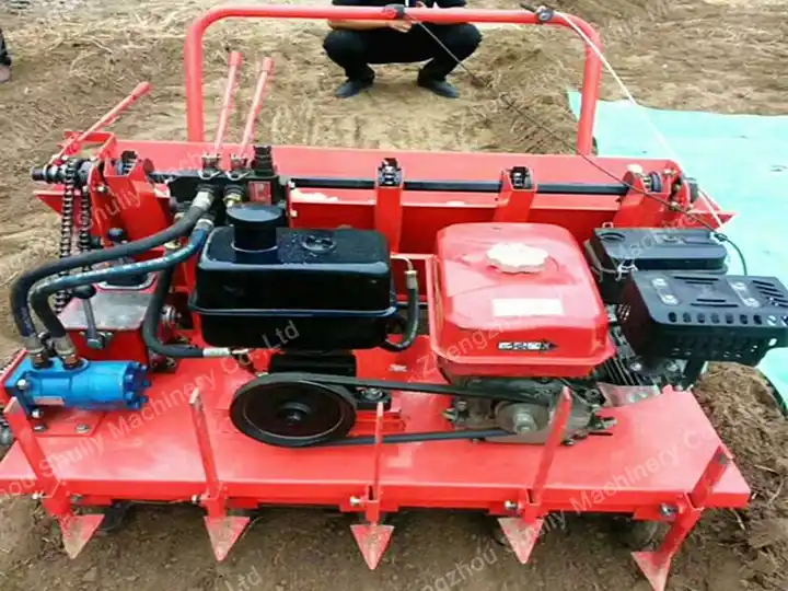 Gasoline-powered model