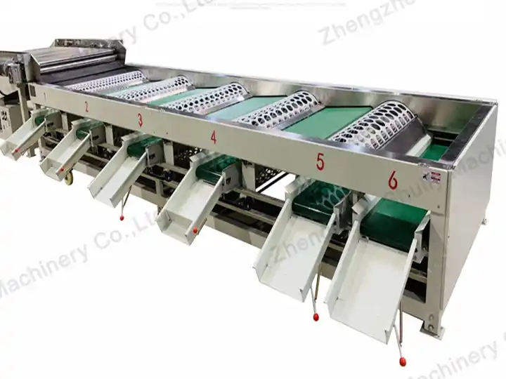 garlic grading machine