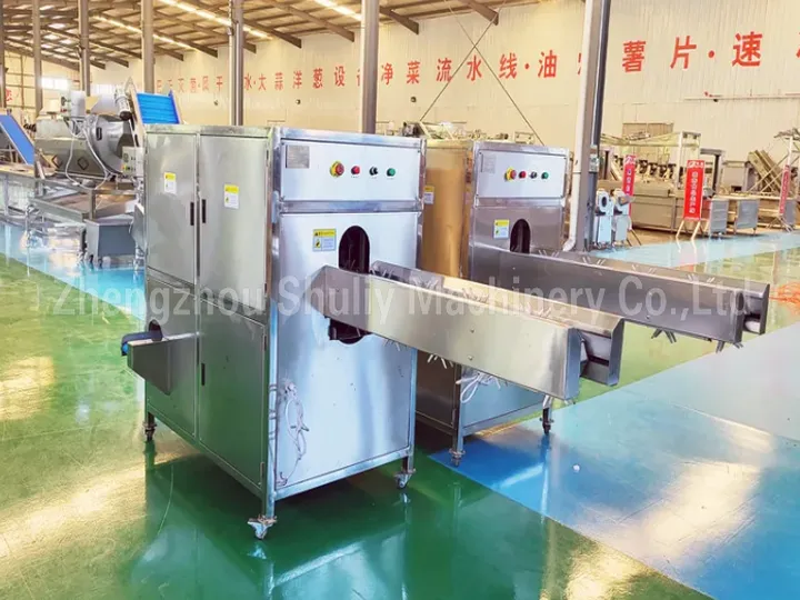 Onion Root Cutting Machine Factory Stock Photo