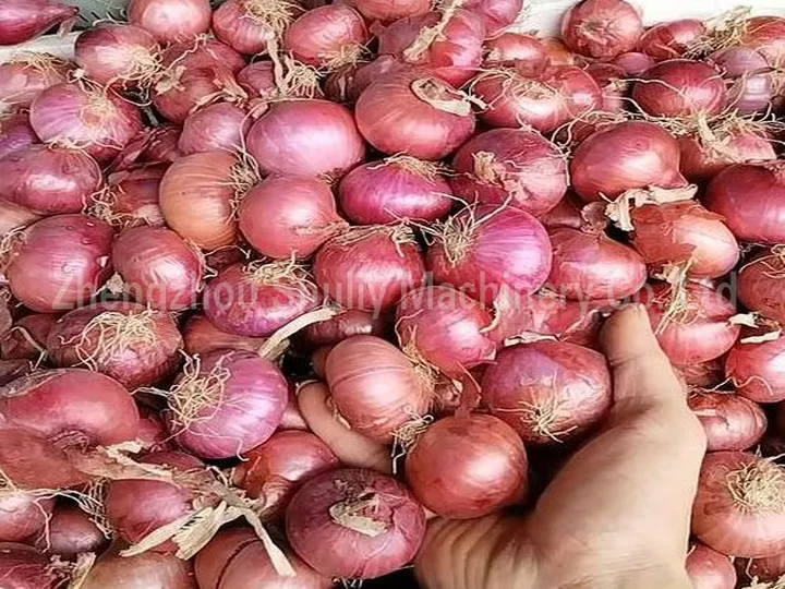 How to Choose the Right Continuous Onion Peeling Machine for Your Factory? 6 Small Onion