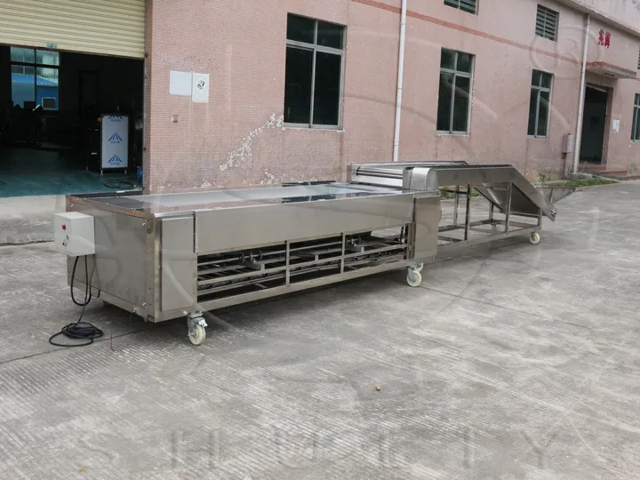 自动大蒜分级机