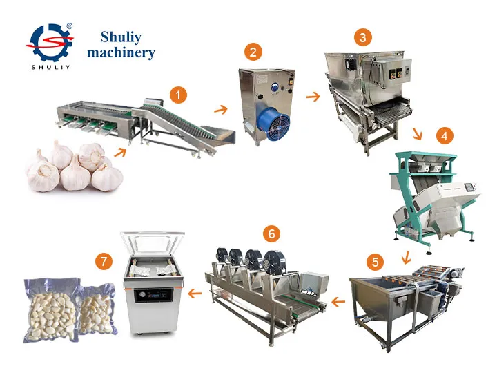 Garlic Peeling Production Line