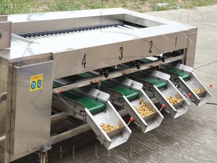 大蒜分级机 | 商用大蒜分拣设备 3 土豆用大蒜加工分级机