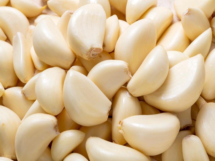 Garlic Slicing Machine | 600 kg/h Commercial Garlic Slicer 2 Peeled Garlic