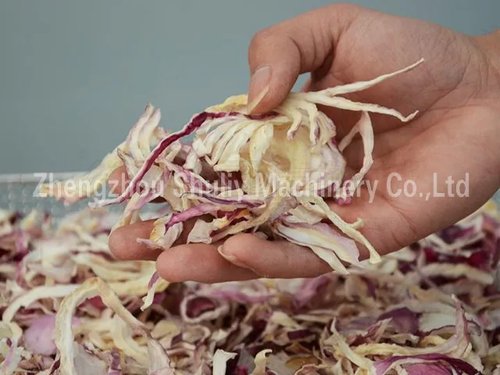 Dried Onion Slices