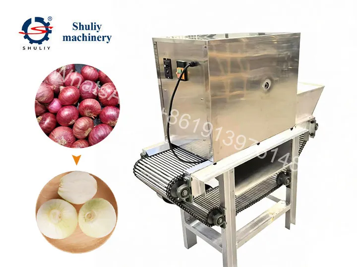 Continuous Onion Peeling Machine
