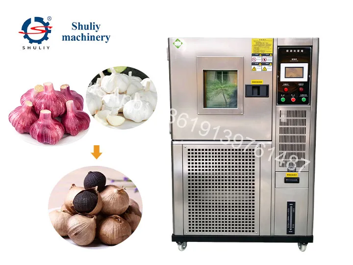 Black Garlic Fermenter Machine